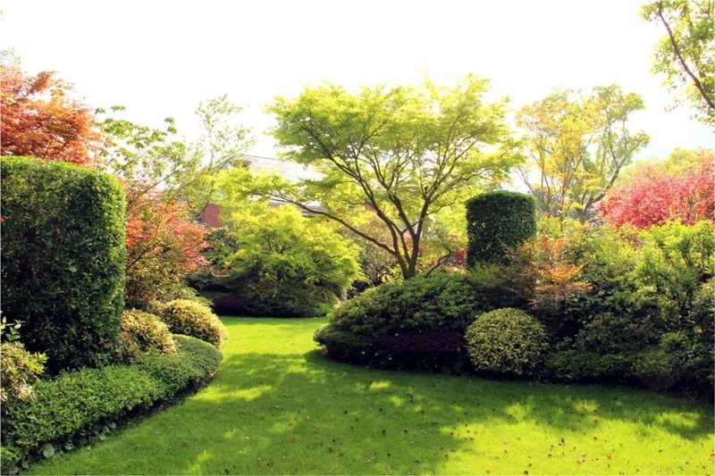 青岛瀚森景观